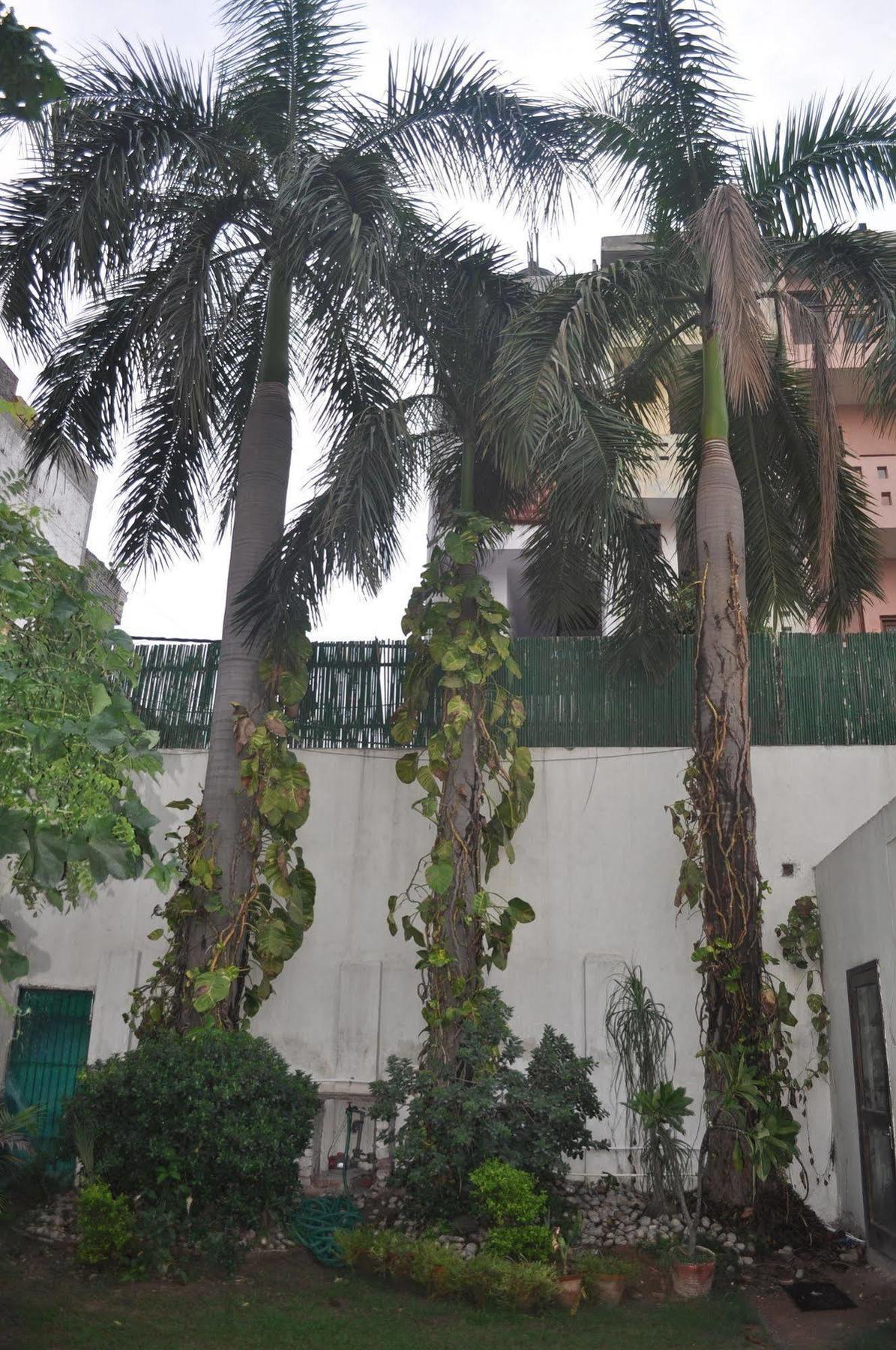 Hotel Kabli New Delhi Extérieur photo